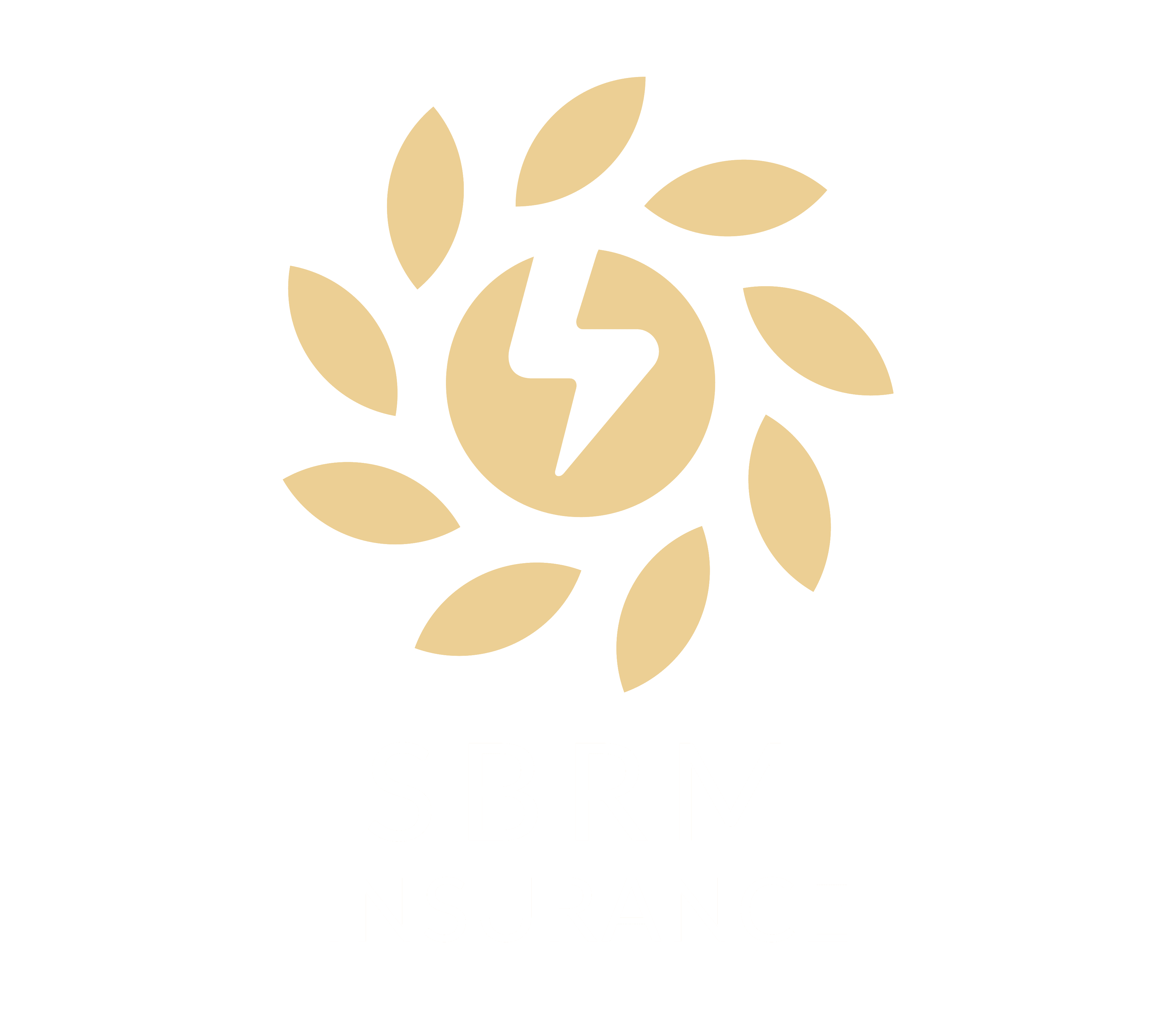 South Bay Risk Management